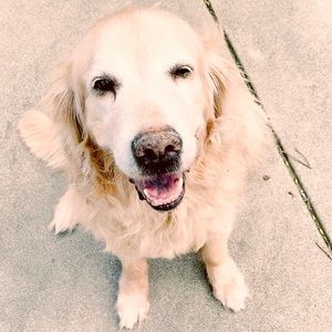 Meet your Posher, Leah